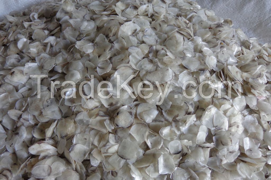 Sun Dry fish Scale