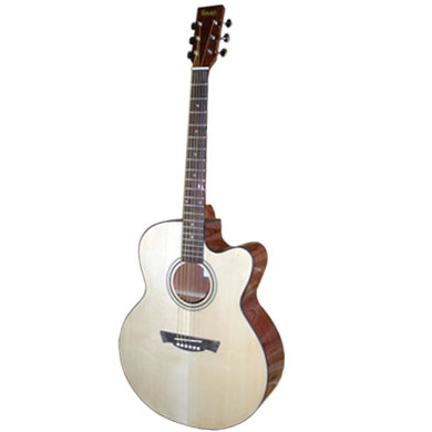 Acoustic Guitar(1)