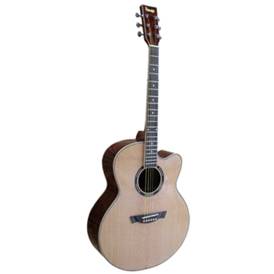 Acoustic Guitar(3)