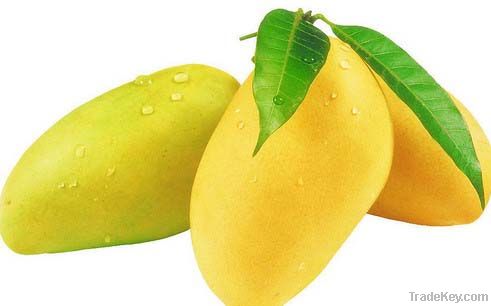 Pakistani Fresh mango