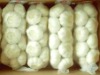 china pure white garlic