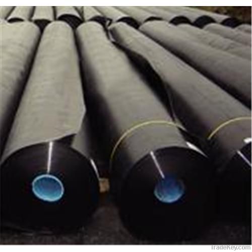 Geomembrane