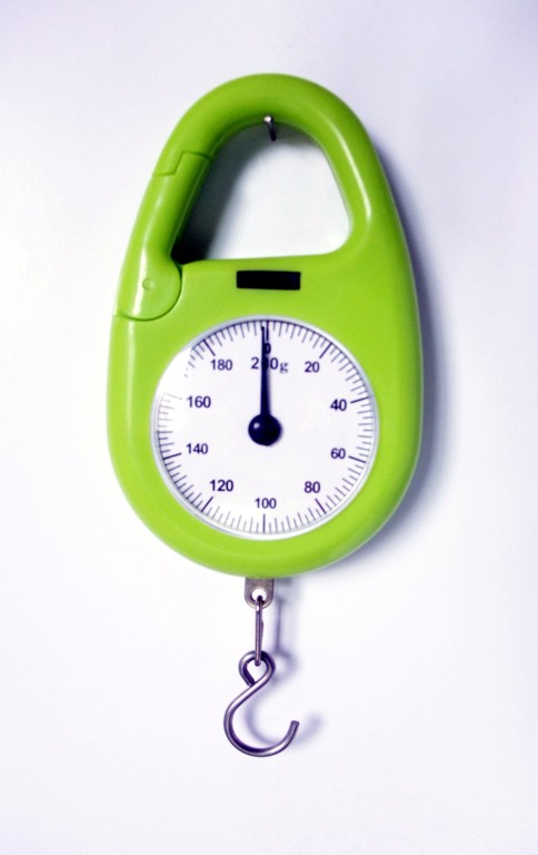 pocket hanging scale