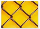 Chain Link Fence