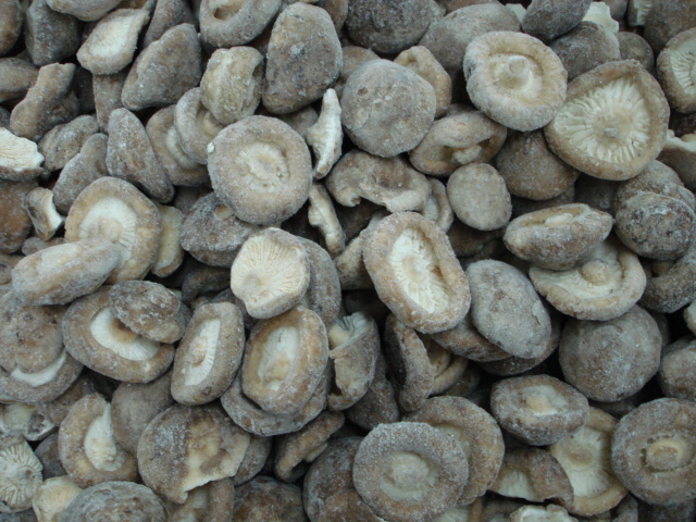 sell frozen shiitake