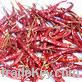 We supply chilli with good quality in any time