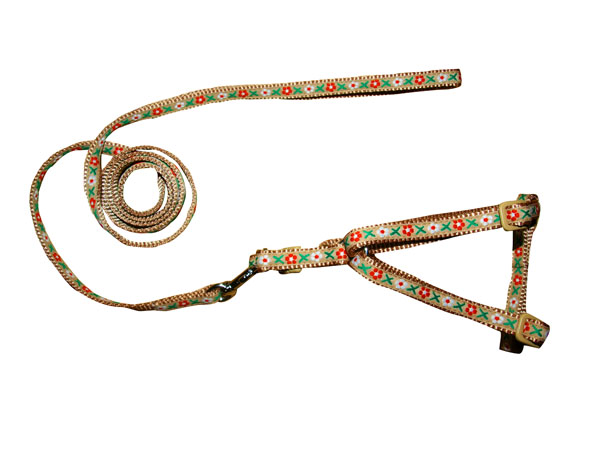 Nylon pet leash/harness with jacquard