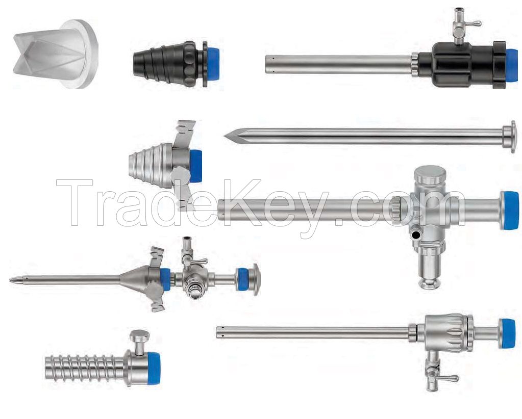 INSTRUMENTS FOR ENDOSURGERY