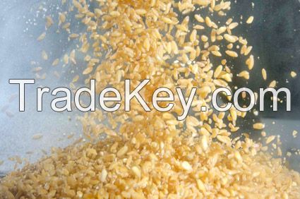 DURUM WHEAT SEMOLINA