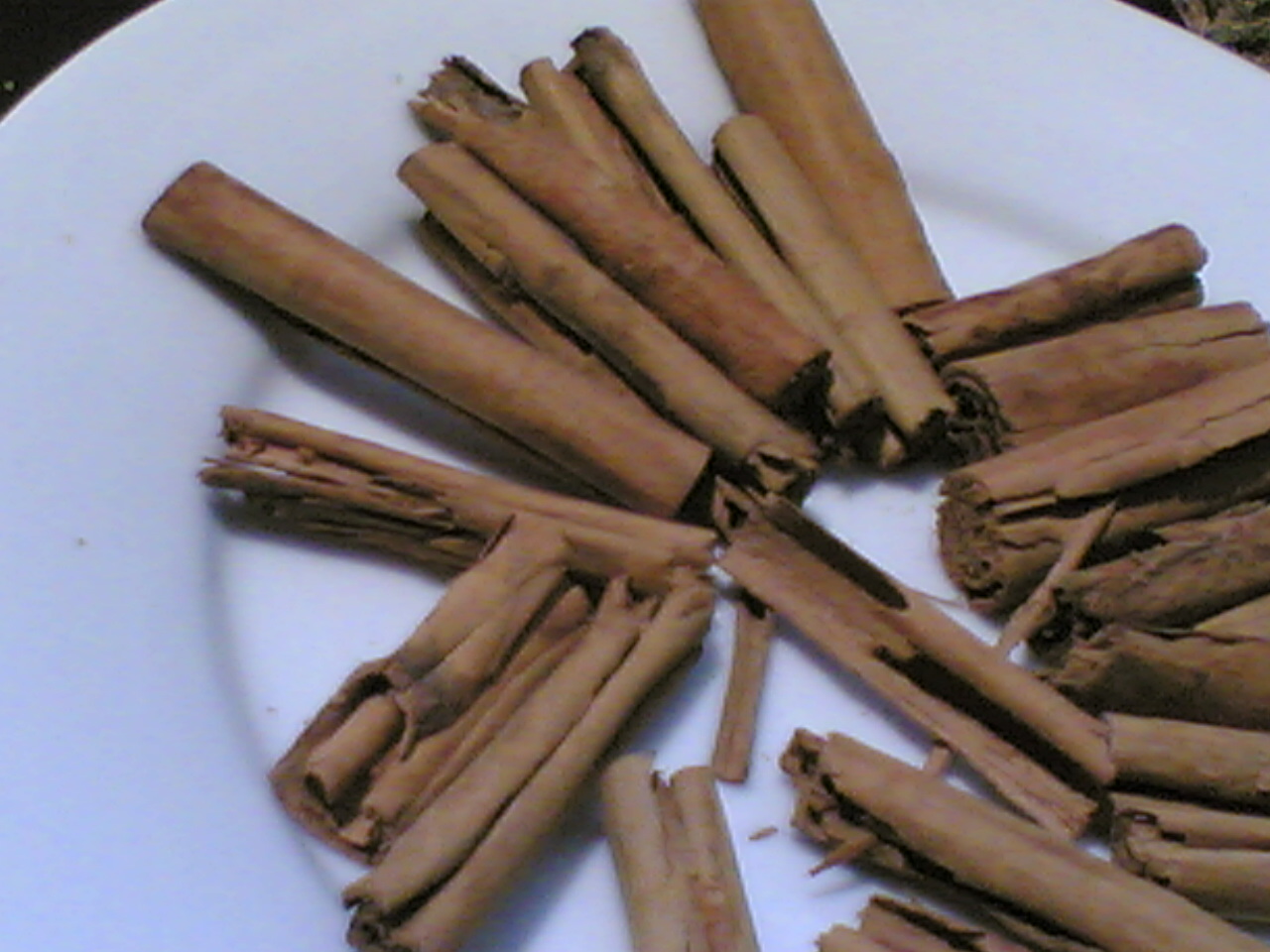 Cinnamon from Sri Lanka