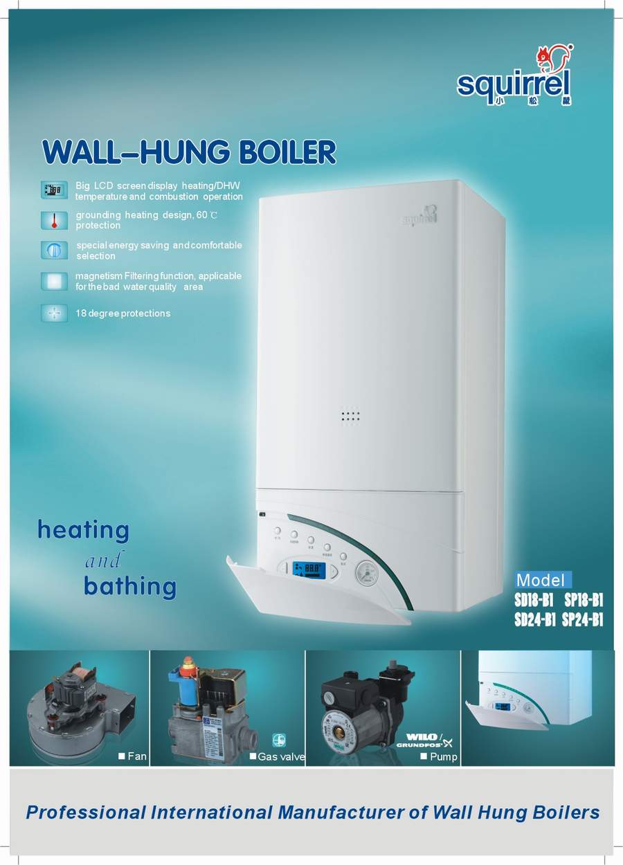 Wall Mount Boiler (B1 Series)