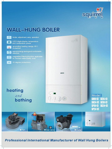 Wall Hung Boiler C1 Series