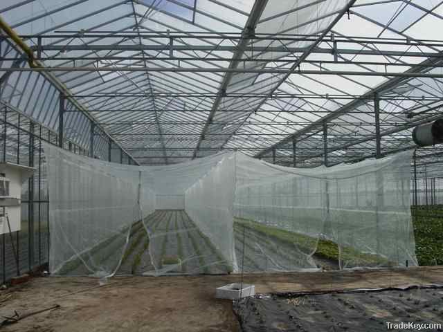 Agriculture Insect Netting PE + UV stabilized