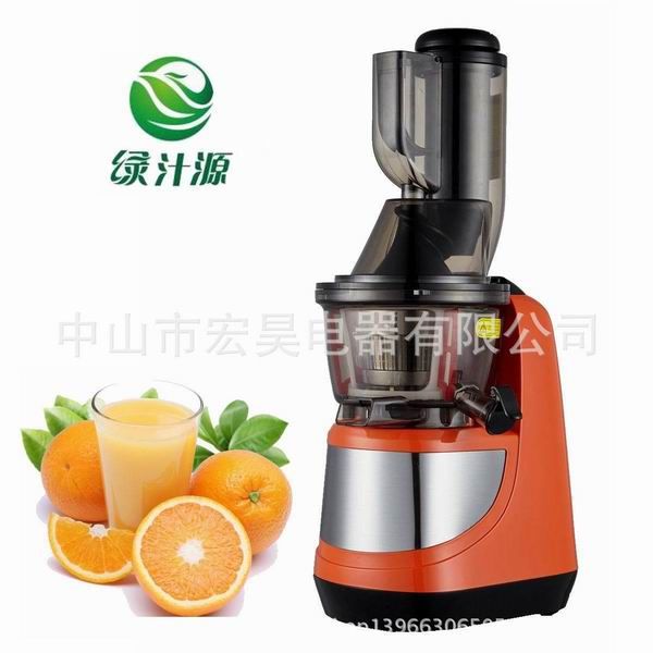 Whole fruit slow juicer