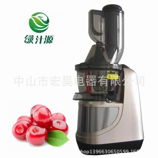 Whole fruit slow juicer