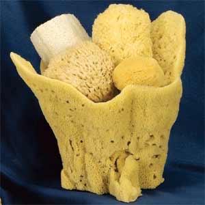 Natural Sponges Gifts