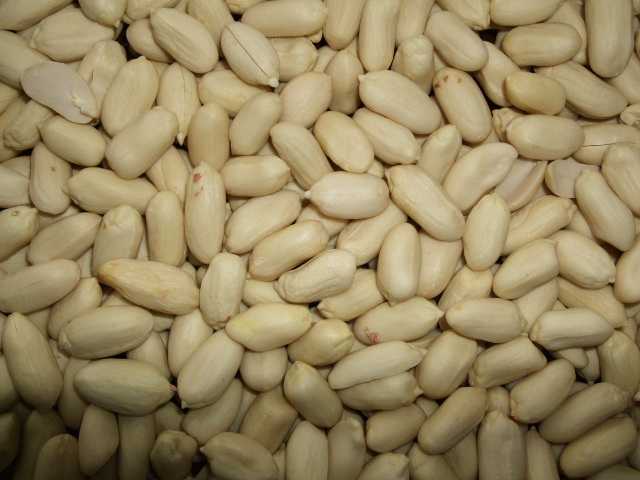 blanched peanut 25/29