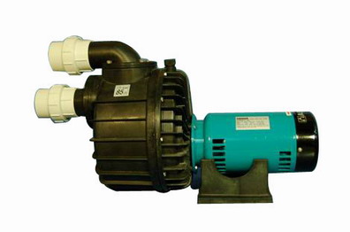 pool pump with filter