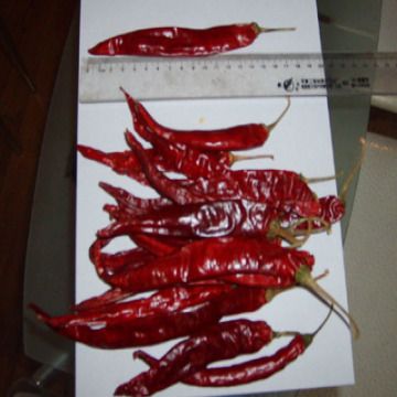 dry chili
