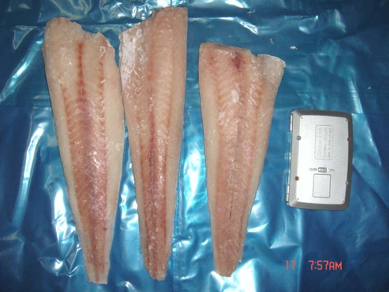 Frozen hake fillet