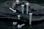 oval head bolts