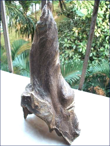Aloeswood Statue (Agalloch)(eaglewood)(agarwood  oud ood oudh