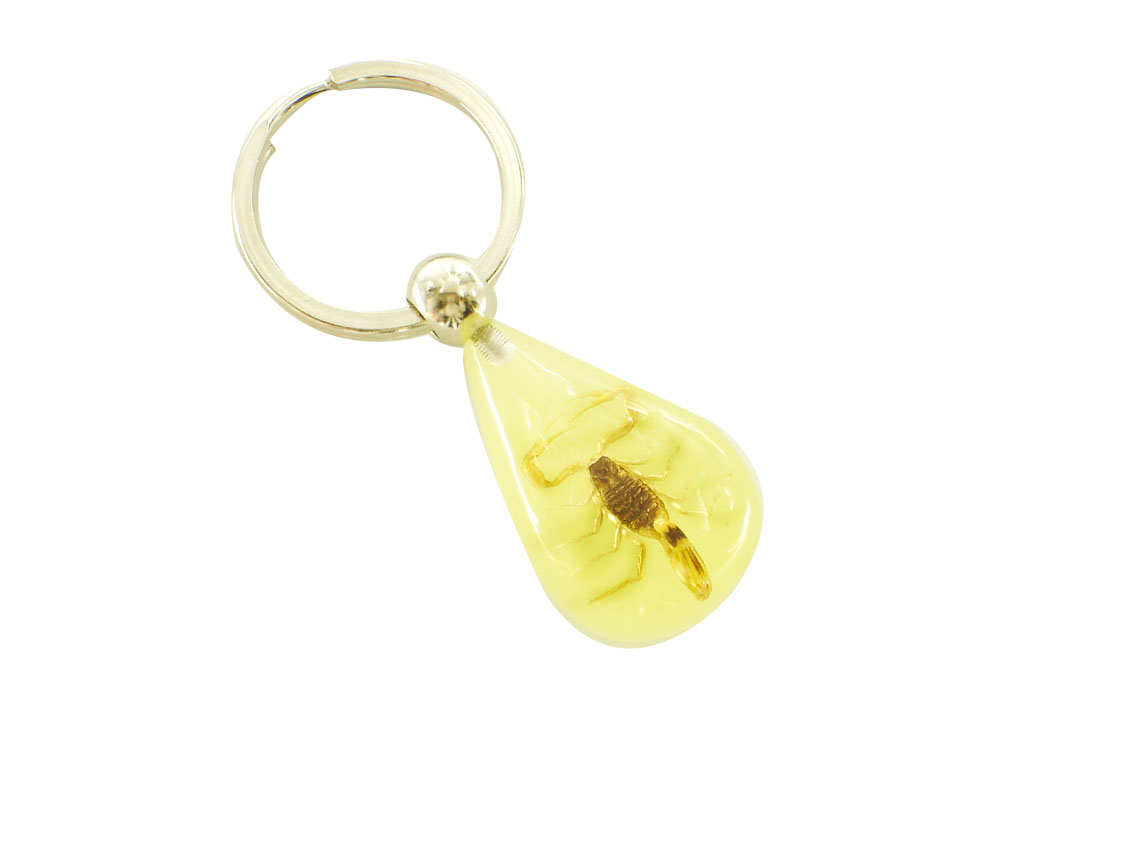 insect amber keychain