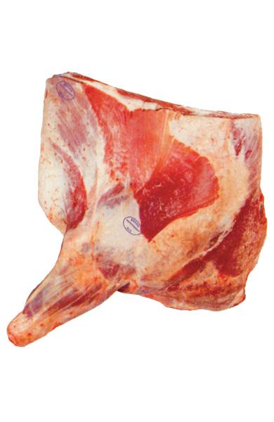 Beef Meat Robbed Forequarter