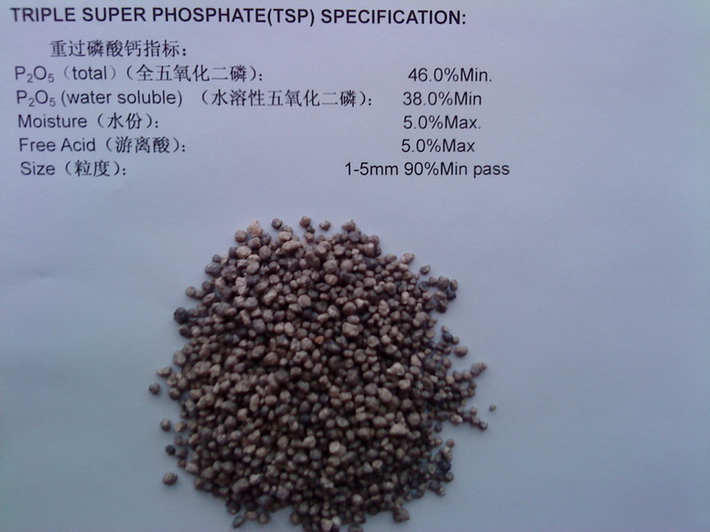 Triple Super Phosphate (TSP)