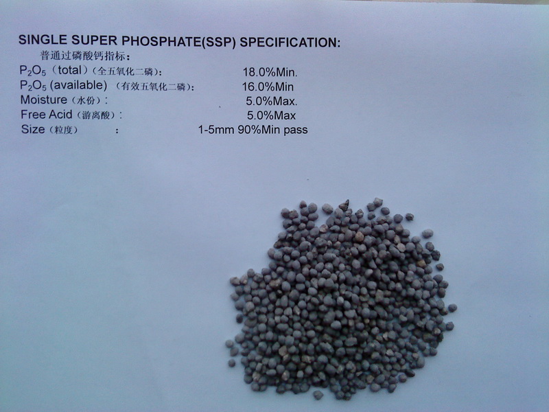 Single Super Phosphate (SSP)