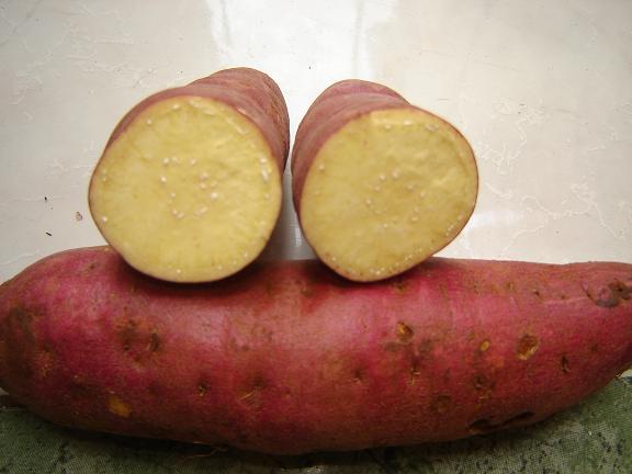 sweet potato