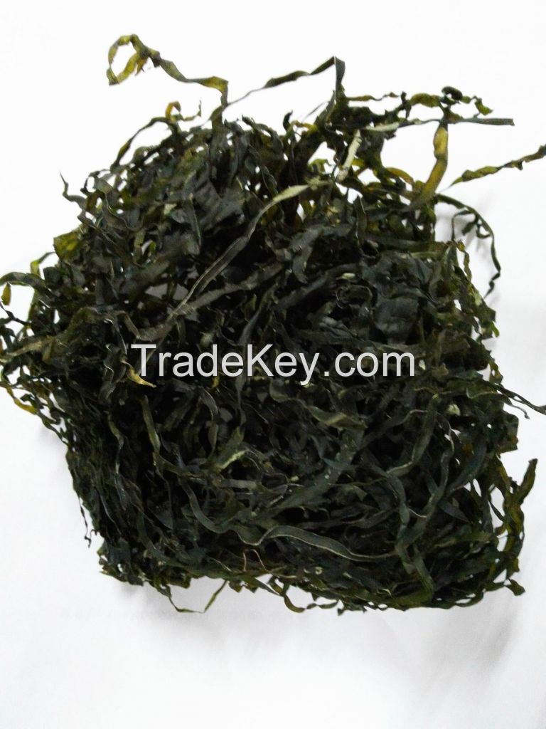 Sublimated/Machine Dried(Freeze Dried) Kelp/Laminaria Seaweed Strips Wholesale