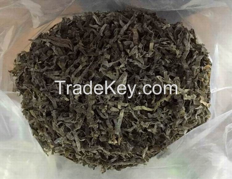 South China Origin Natural Sun Dried Kelp/Laminaria Seaweed Cut in Bulk