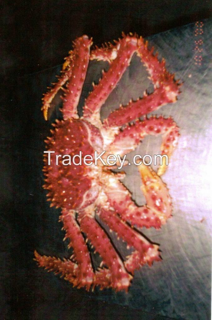 King Crab