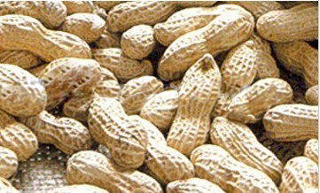Peanuts In Shell