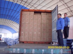 Container loading Inspection service