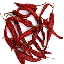 Wangdu chilli