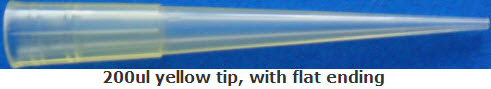 Pipette Tips