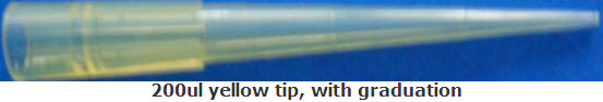 Pipette Tips