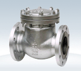 Swing Check Valve