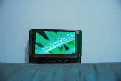 Sell  TFT COLOR LCD DISPLAY