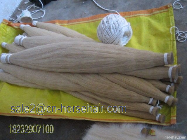 pure white horse tail hair for violin bow