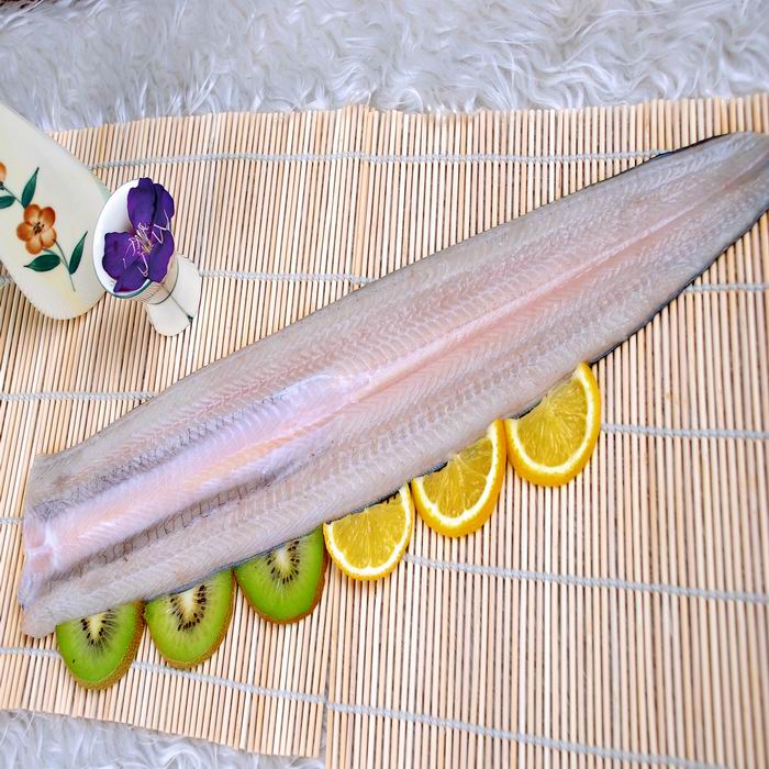 frozen eel fillet