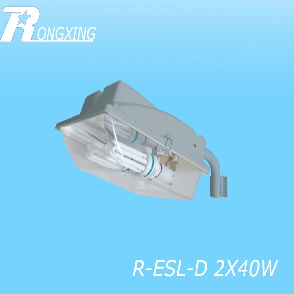 Plastic street light R-ESL-D  2X40W 