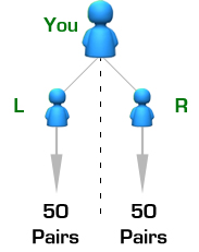 Board plan / Australian Binary plan / Matrix plan