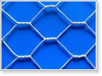 hexagonal wire mesh ( Chicken Mesh/ Rabbit Mesh/ Poultry Wire Mesh)