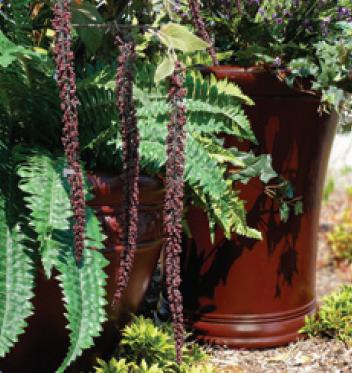 Flower Pots and Planters - lean crete