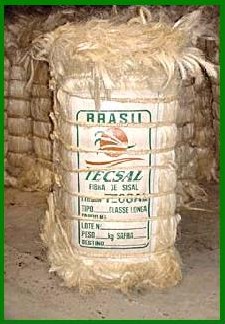 Sisal fiber