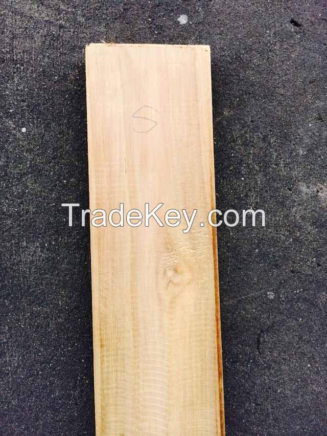 teak wood