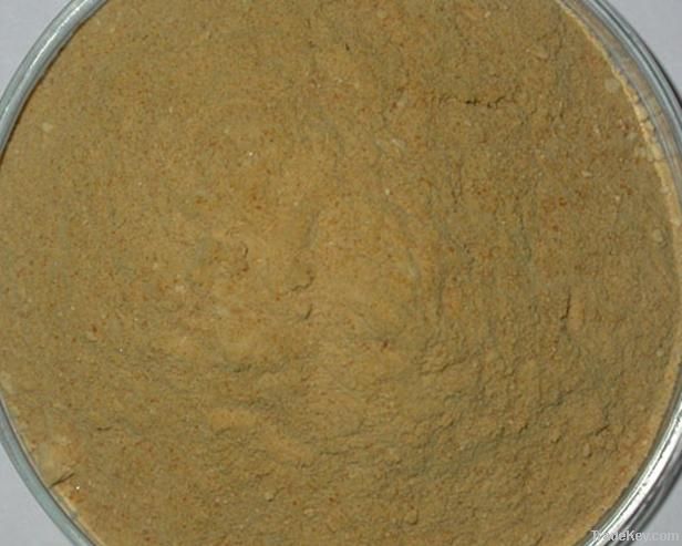 Champignon Extract Powder